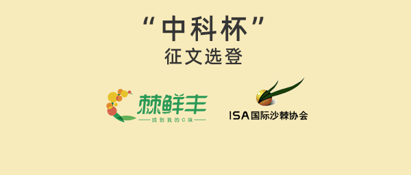 “中科杯”征文选登一